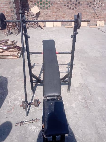 Dumbles Bench Press Gym Equipment 2