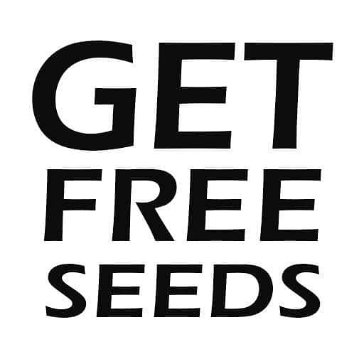 Free G1 garlic seed from last year 0