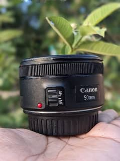 Canon 50mm 1.8  STM 10 by 10 condition