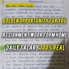 Assignment work daily salary 100% 0