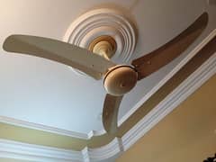6, ceiling fan for sale