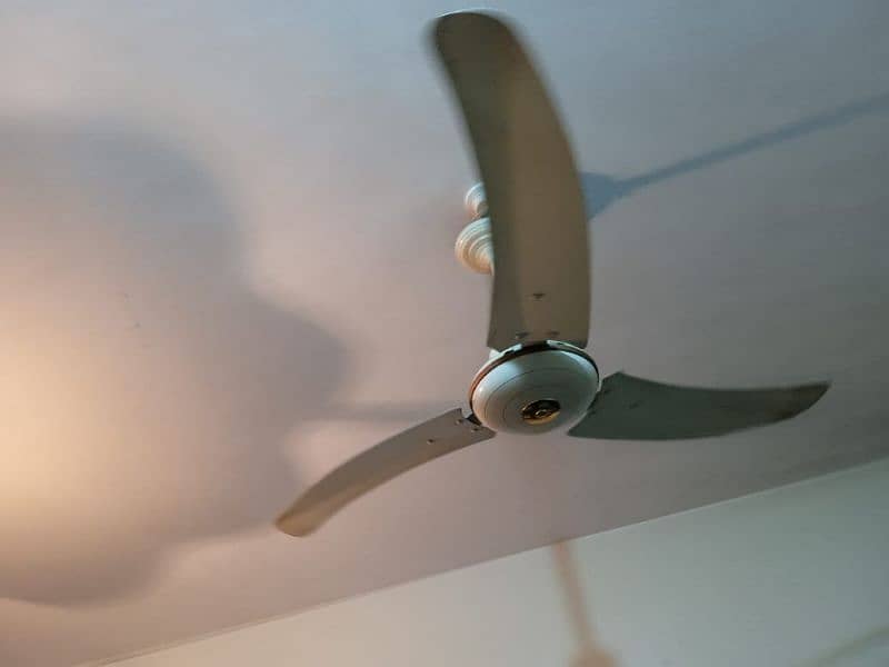 6, ceiling fan for sale 1