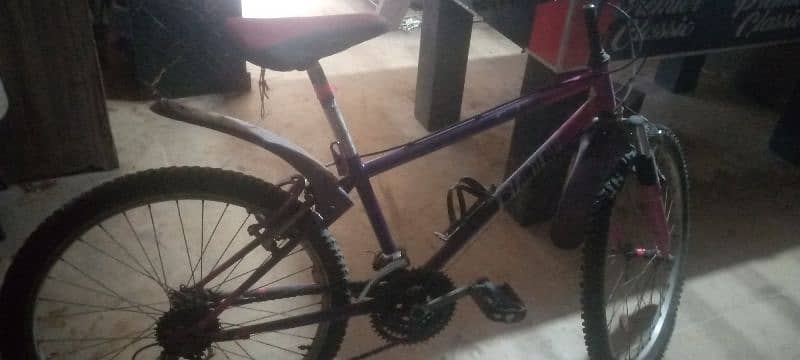 Cycle For Sale 2