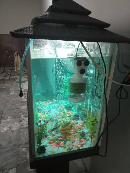 aquarium for sale 1