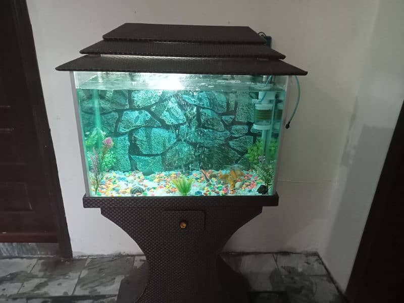 aquarium for sale 4