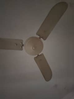 2 ceiling fans and 1 wall fan available