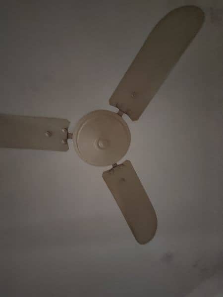 2 ceiling fans and 1 wall fan available 0