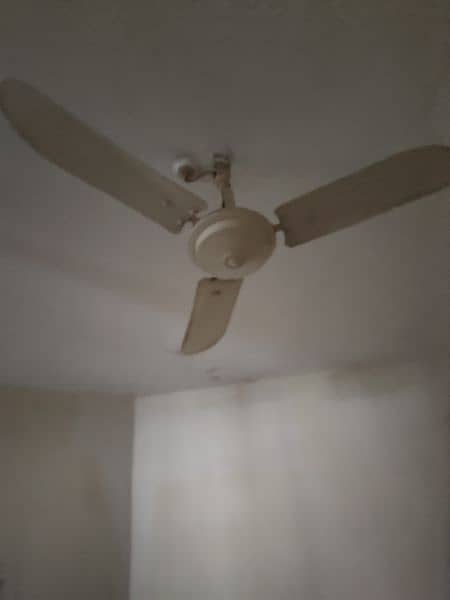 2 ceiling fans and 1 wall fan available 1