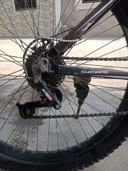imported Shimano cycle 26 inch 4