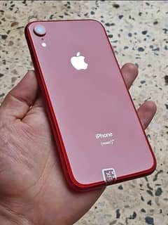 Iphone XR ( Product RED ) 0