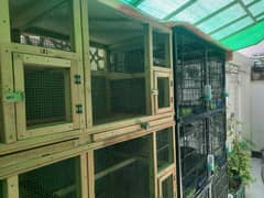 wooden bird cage