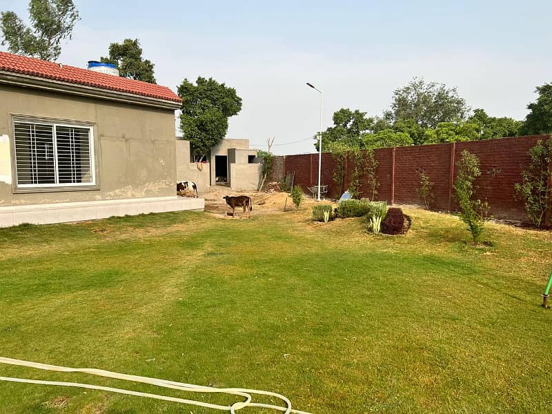 8 Kanal Corner Farmhouse For Sale With Boundry Wall An Gate In Spring Medows Bedian Road 24