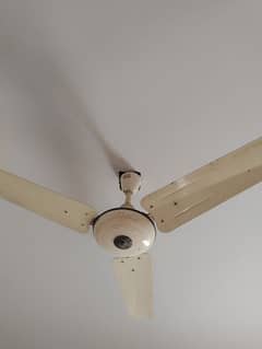 GFC ceiling Fan