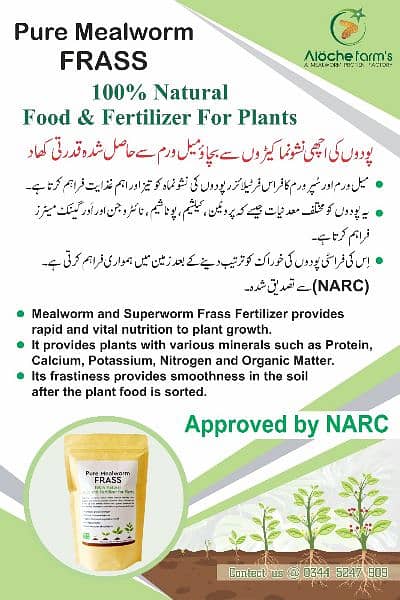 Mealworms frass fertilizer khad premium quality organic plant booster 1