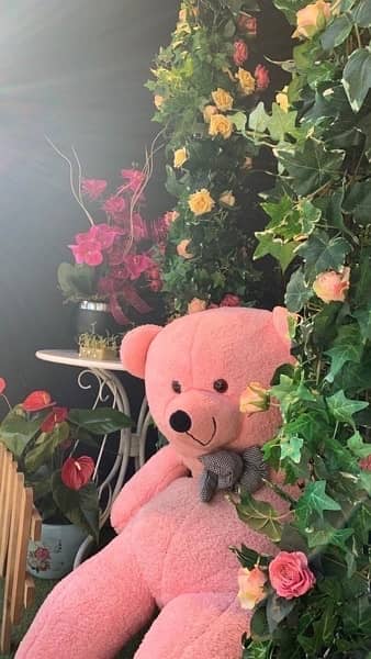 Teddy Bears / Stuffed toy gifts 5
