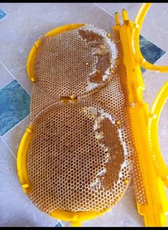 Desi Organic Honey