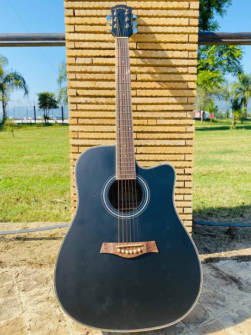 Yamaha Fender Taylor Martin Kapok Dean Deviser Acoustic Semi Guitars 17