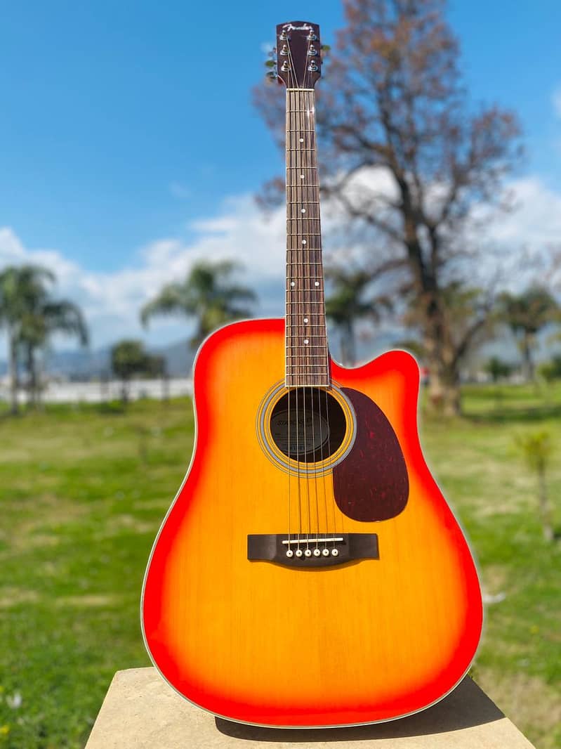 Yamaha Fender Taylor Martin Kapok Dean Deviser Acoustic Semi Guitars 19