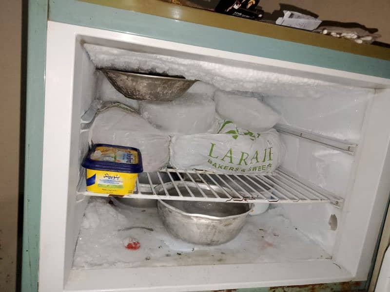 Pel Refrigerator 4