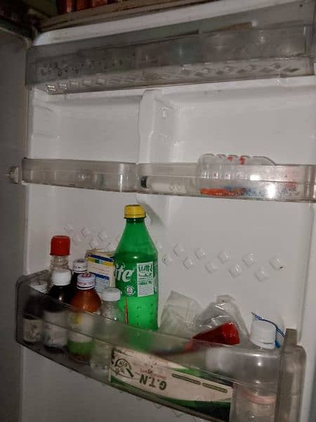 Pel Refrigerator 6