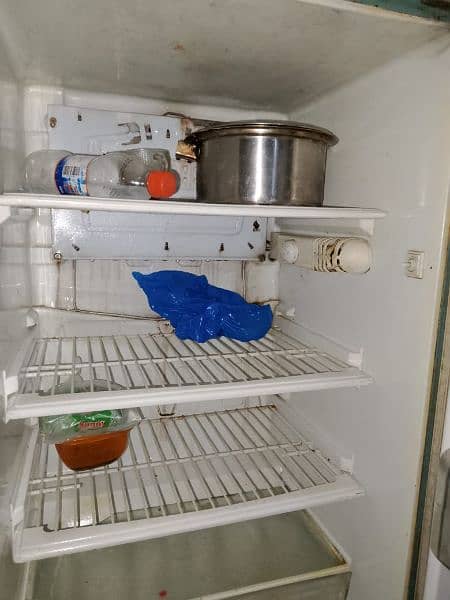 Pel Refrigerator 9