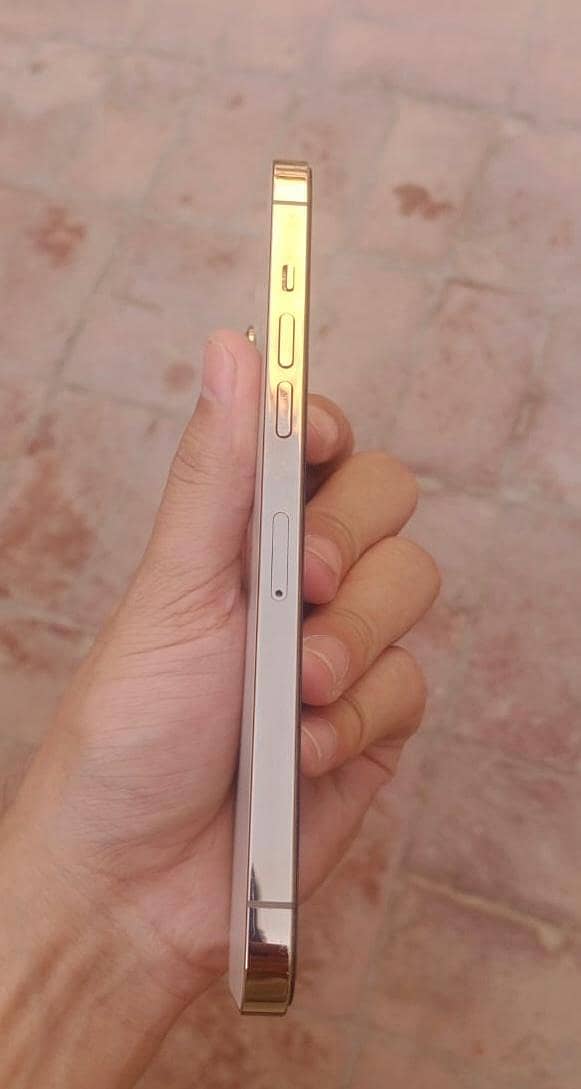 Iphone 12 pro max 128gb Pta Approved 5