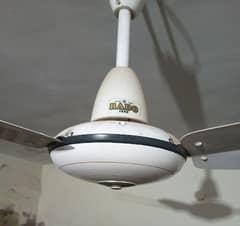 This is Rado fan a top quality fan with copper winding.