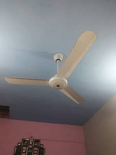 Ceiling Fan, Looks Like New Fan.