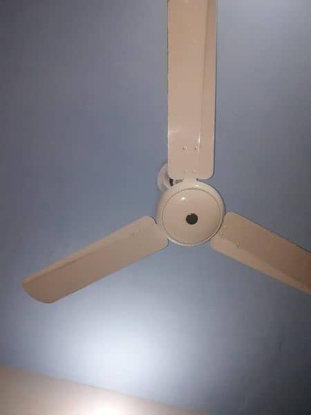 Ceiling Fan, Looks Like New Fan. 1