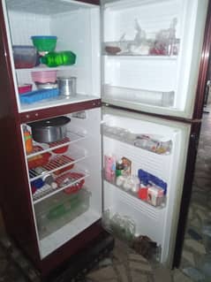 Pel home used fridge 100% condition
