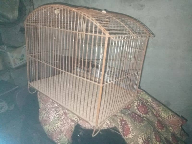 2 cage for sale 2