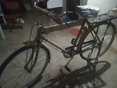 Shaheen new Cycle for sale RS 20000