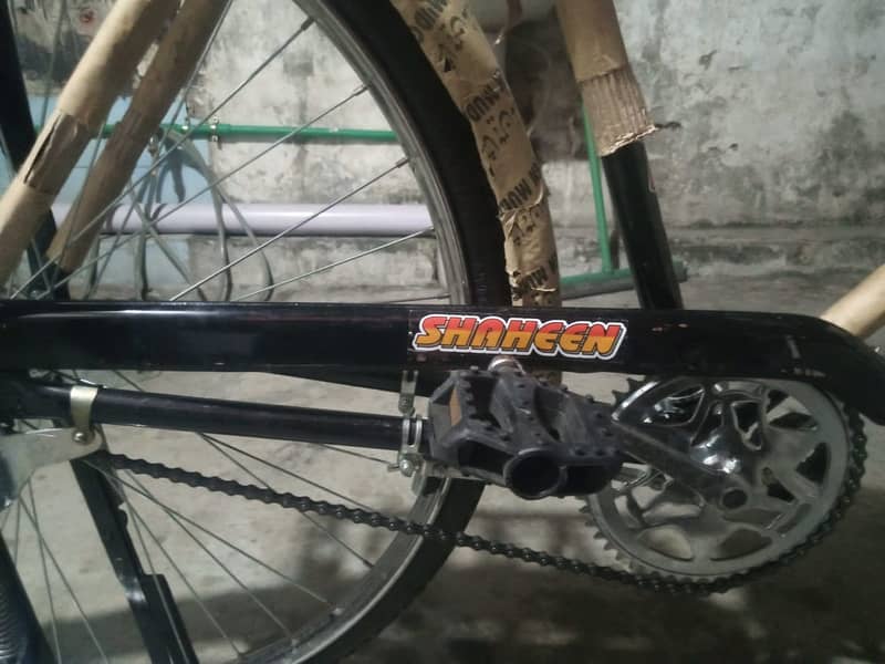 Shaheen new Cycle for sale RS 20000 4