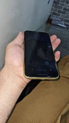 Iphone 11 (Factory Unlocked)