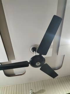 Black Ceiling Fan 0