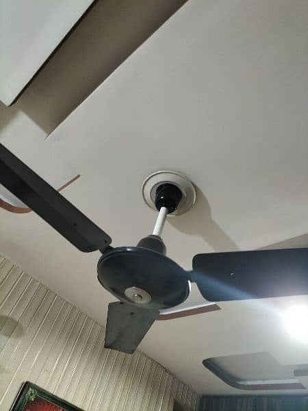 Black Ceiling Fan 1