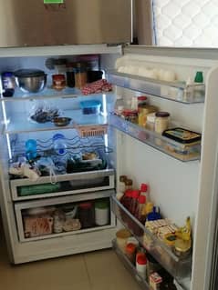 Daw lance refrigerator
