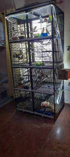 Complete Setup 8 Portion heavy cage urgent sale