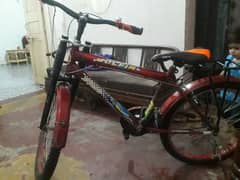 best bicycle good speed 4 months use