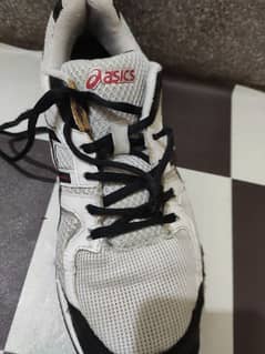 Asics gel badminton shoes non marking EU 41