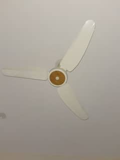 GFC fans energy saver