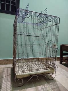 Grey parrot cage