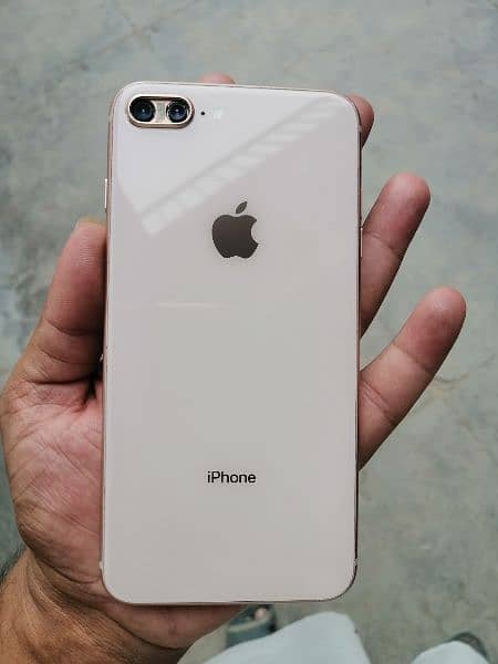 8 Plus 256 pta approved 2