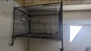 Raw parrot Breeding cage
