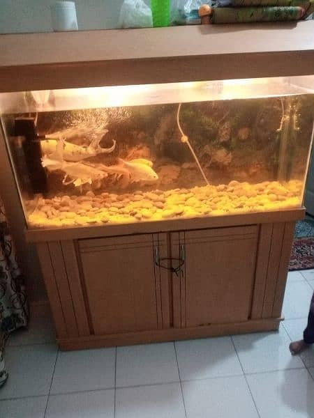 my aquarium is 4 fit this sel. 3