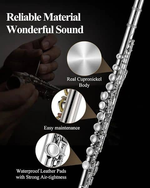Amazon Branded Eastar  16 Keys hole Flute 2