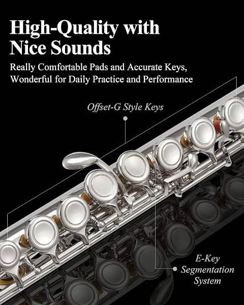 Amazon Branded Eastar  16 Keys hole Flute 3