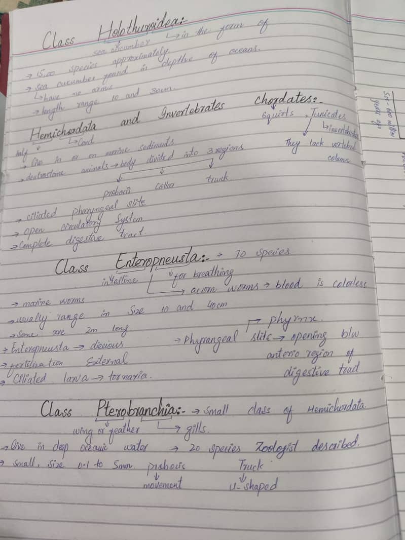Handwritten work 1