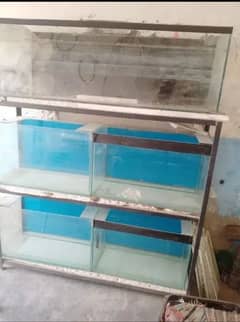Fish glass equirium full set