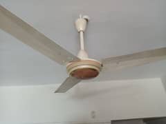 Selling Used GFC Ceiling Fan